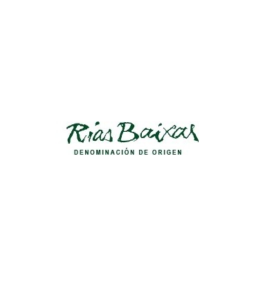 Spanish Wine D:O. Rías Baixas 